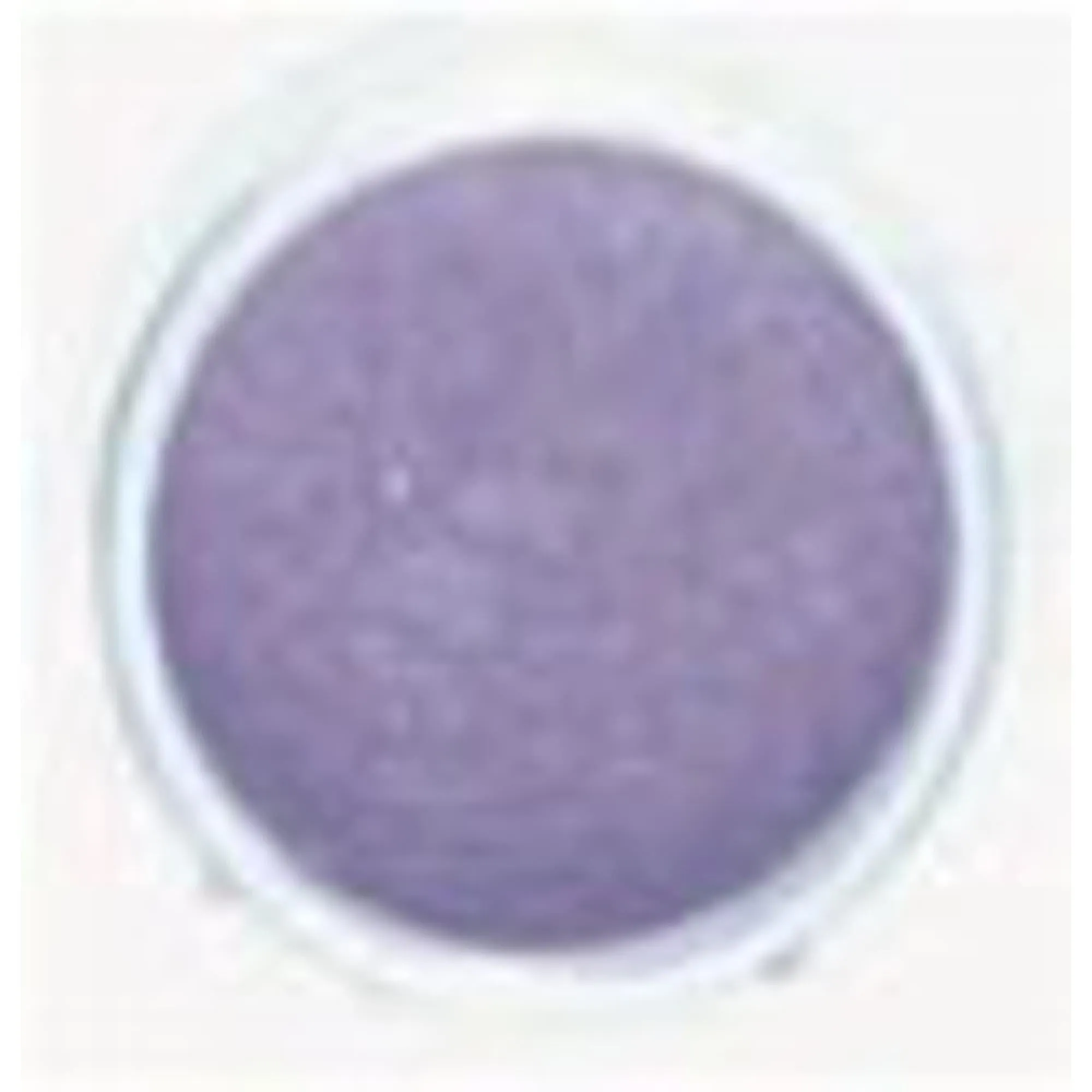 Luster Powder Mini Orchid Odyssey.